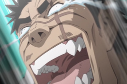 Seto no Hanayome ovas